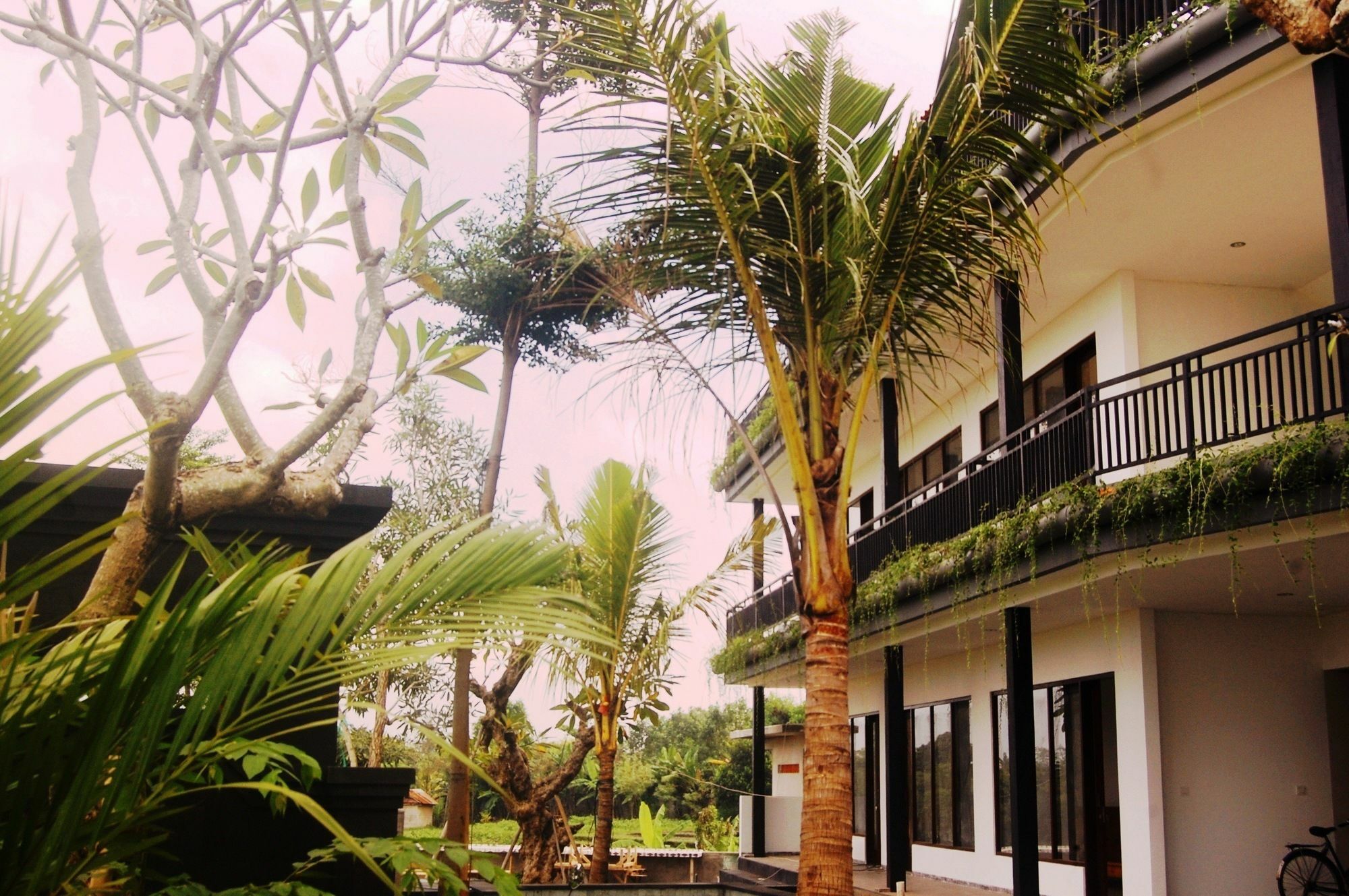 Grandpa Guest House Canggu Zewnętrze zdjęcie